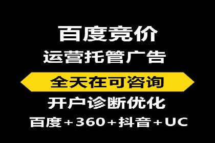 竞价推广中的着陆页策略：成功案例解读