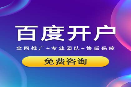 百度广告投放策略：成功案例解析